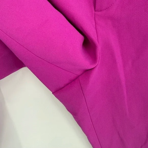 BANANA REPUBLIC RYAN DRESS PANTS FUCHSIA NWT SIZE 16 - Picture 8 of 11